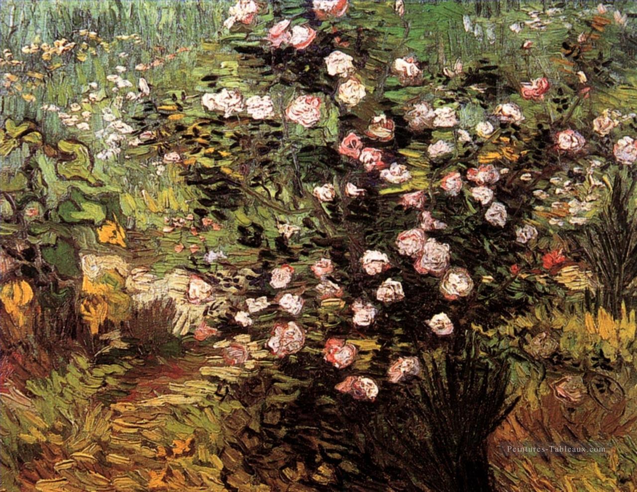 Rosebush en fleur Vincent van Gogh Peintures à l'huile